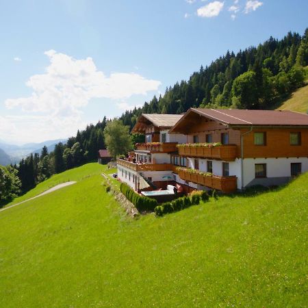 Pension Bergbauernhof Irxner Pichl-Preunegg Exteriör bild