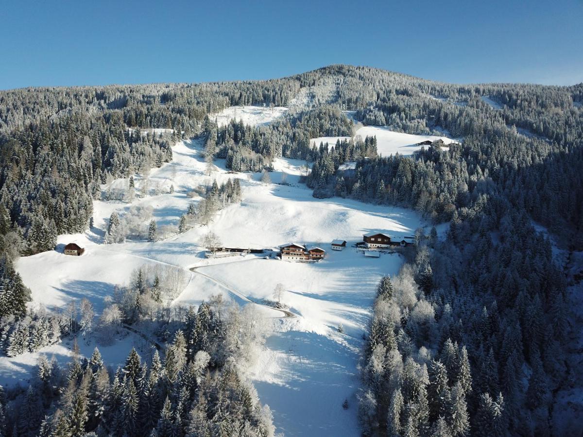 Pension Bergbauernhof Irxner Pichl-Preunegg Exteriör bild